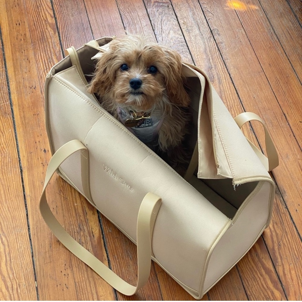 Wild One commuter pet carrier bag in beige/tan